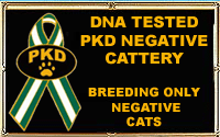 PKD-dna tested cattery