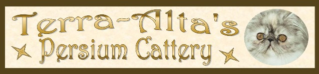 Terra Alta cattery